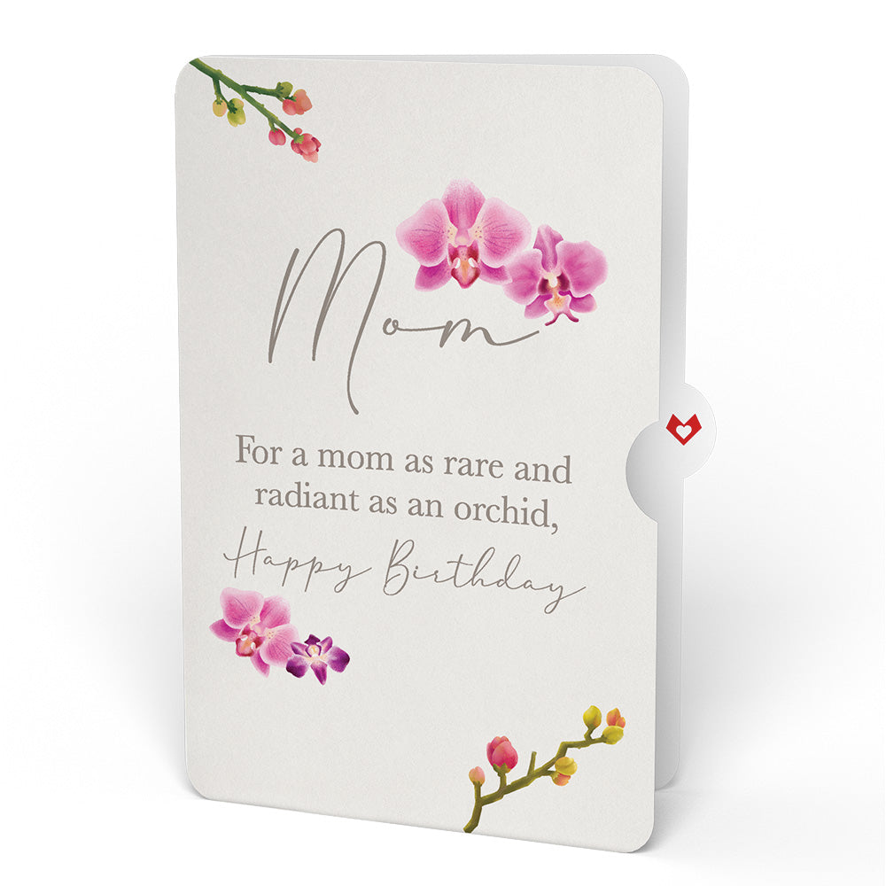 Cherry Blossom Birthday Bouquet and Sentiment Set for Mom、mySite、solidvoid