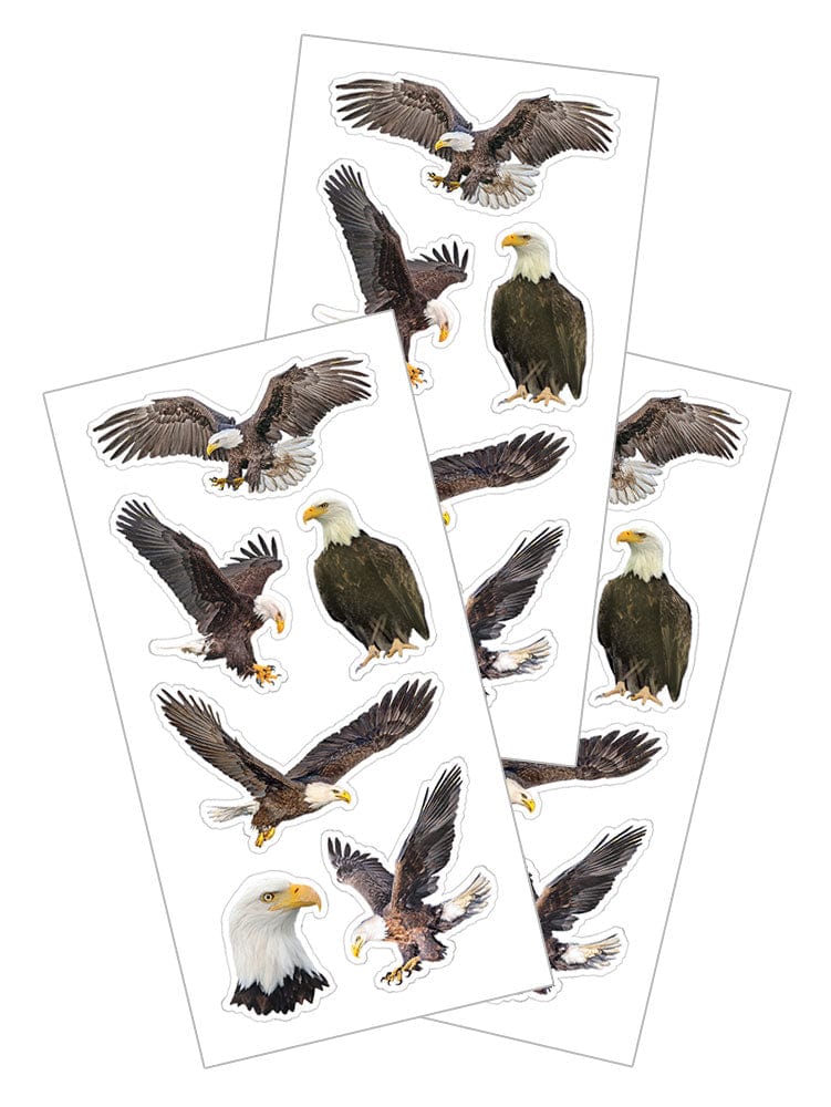  Decorative Stickers - Eagles、mySite、ghnorth