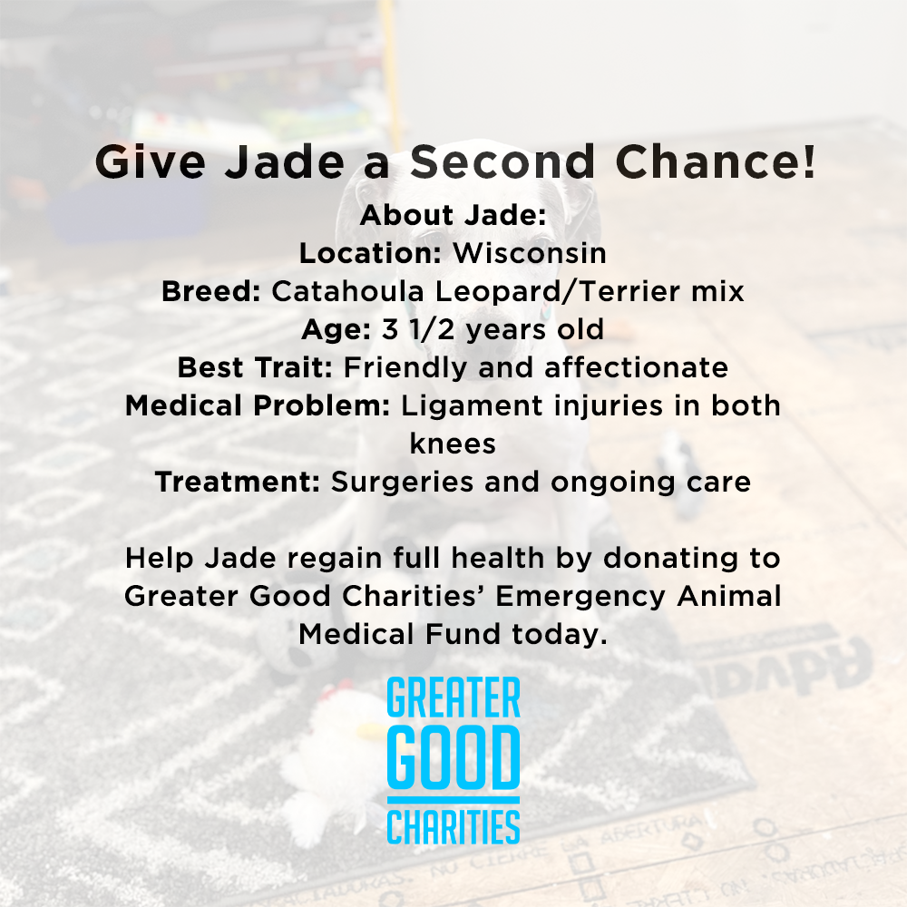 Funded - Help Jade Lose Her Limp、mySite、camillekostekn