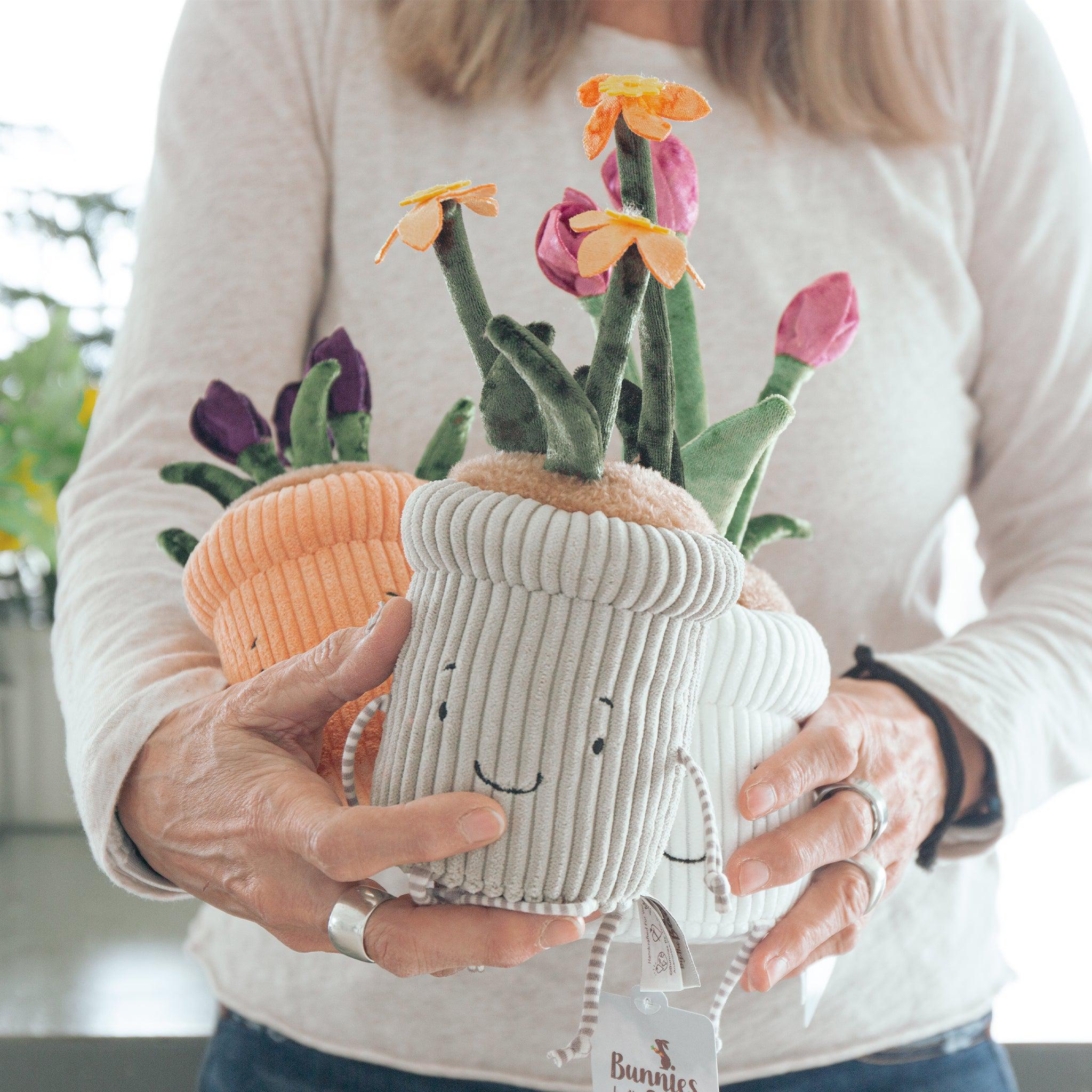 RETIRED - Window Sill-ies Daffodil、mySite、g9winljtr