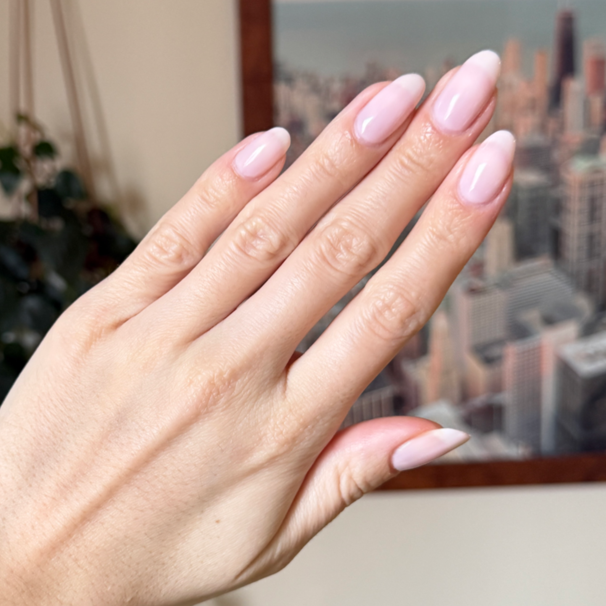 Puffball、mySite、solidvoid