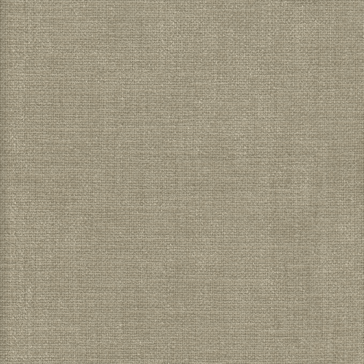 Grade A: Club CL007、mySite、neckold