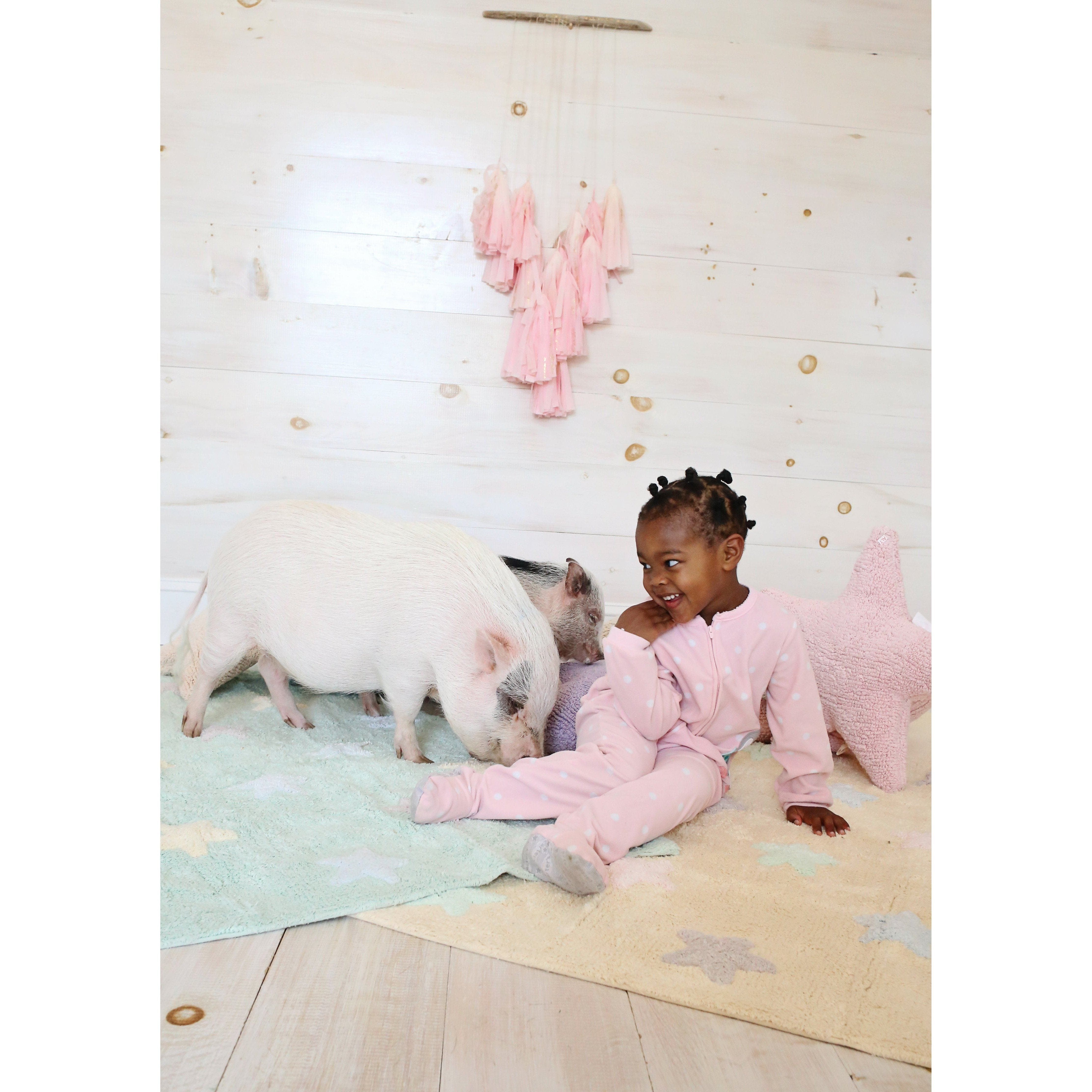 Star Pink Cushion、mySite、gigharbornorthrealestate