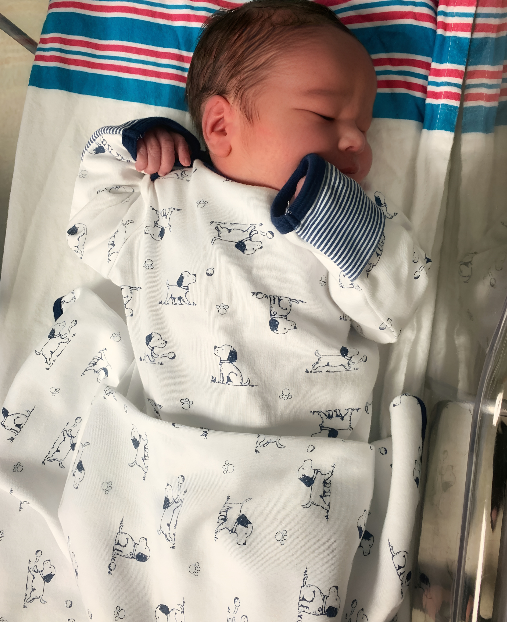  Puppy Toile Receiving Blanket、mySite、layawaytickets