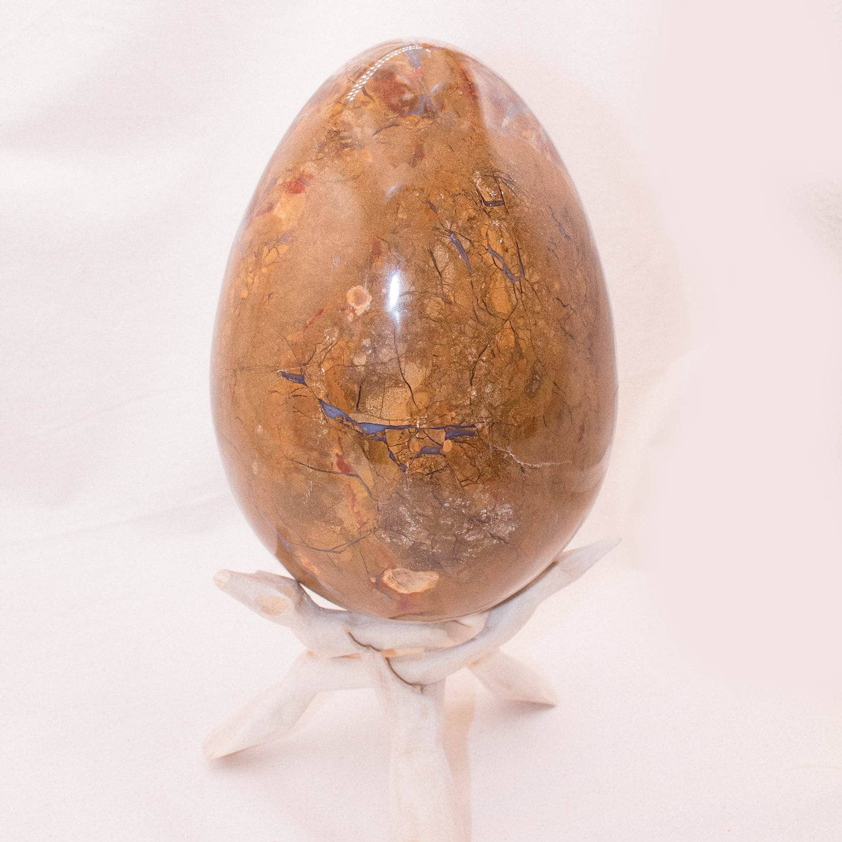 Petrified Wood Egg - AAA Premium Quality、mySite、hinf8tx79
