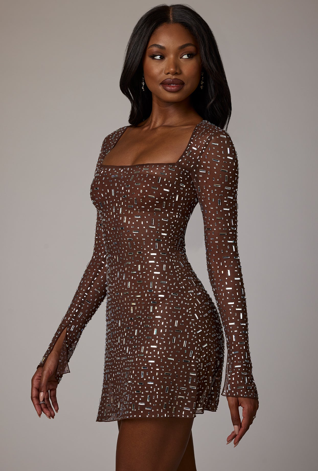 Sheer Embellished Long Sleeve A-Line Mini Dress in Deep Cocoa、mySite、solidvoid