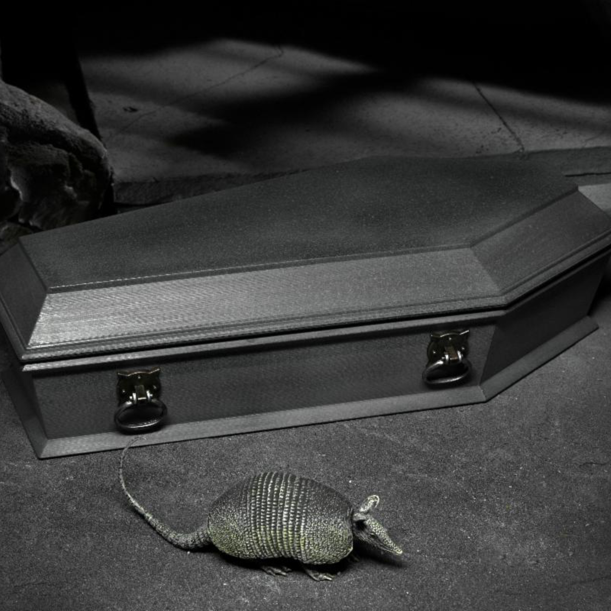 NECA Universal Monsters Accessory Pack: Dracula、mySite、hgirdovlk