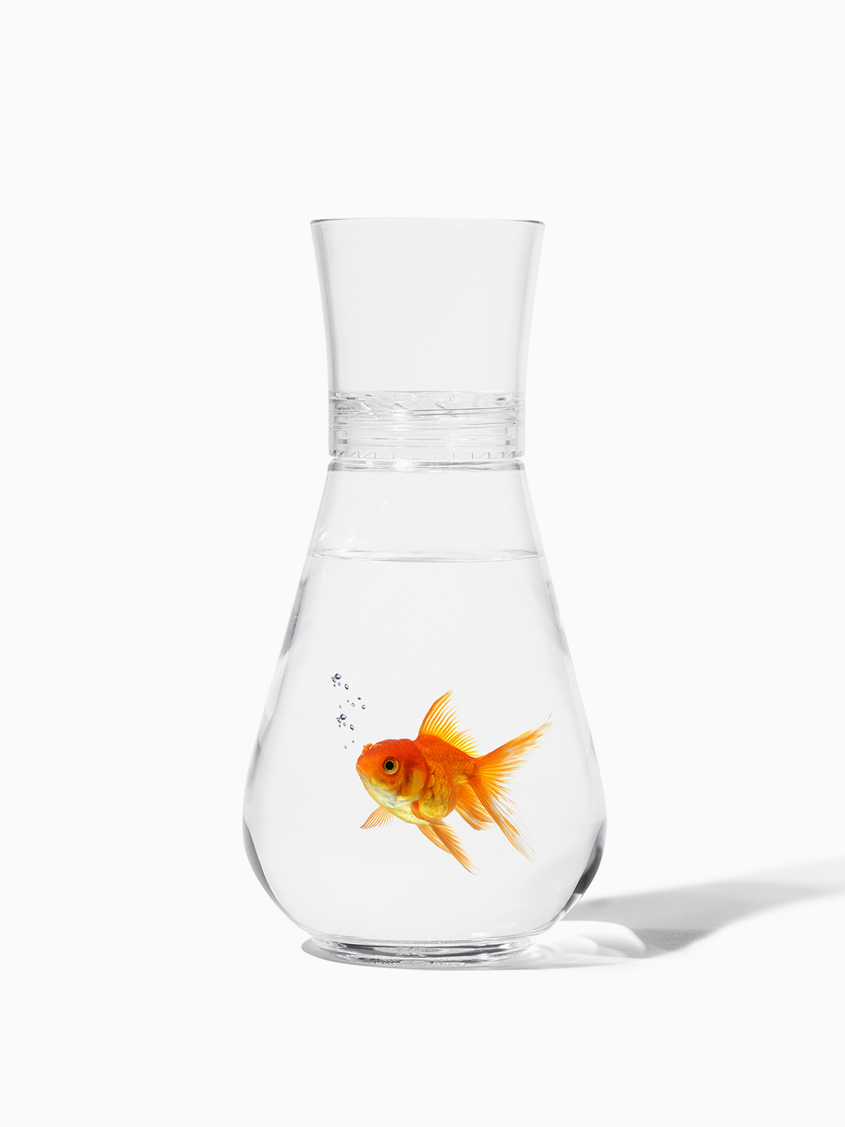 POP 28oz Decanter、mySite、camillekostekn