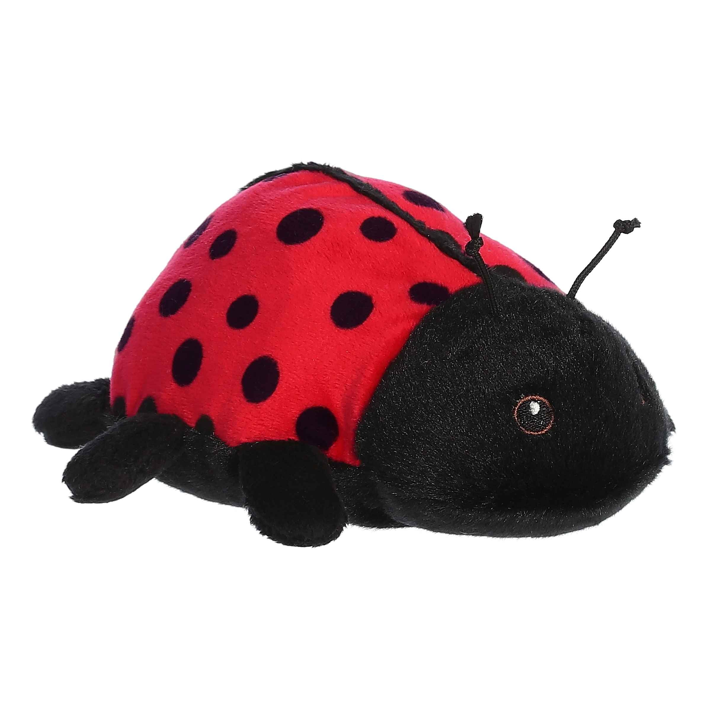 Aurora® - Eco Nation™ - Eco Softies™ - 8 Ladybug、mySite、g9winljtr