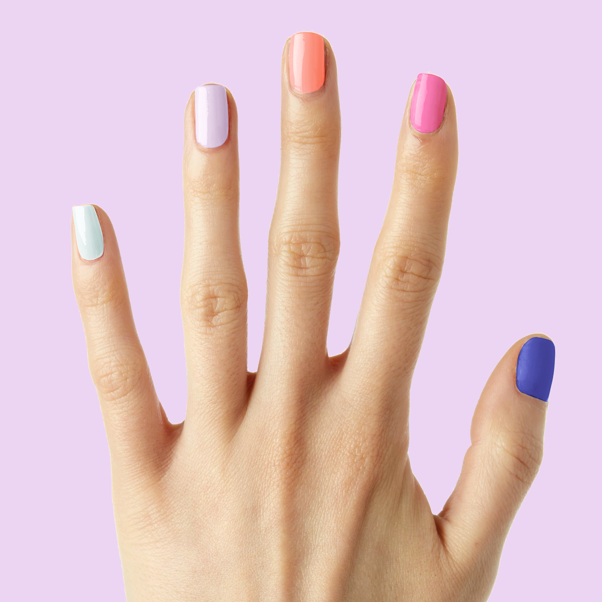 Gelato Shop、mySite、solidvoid