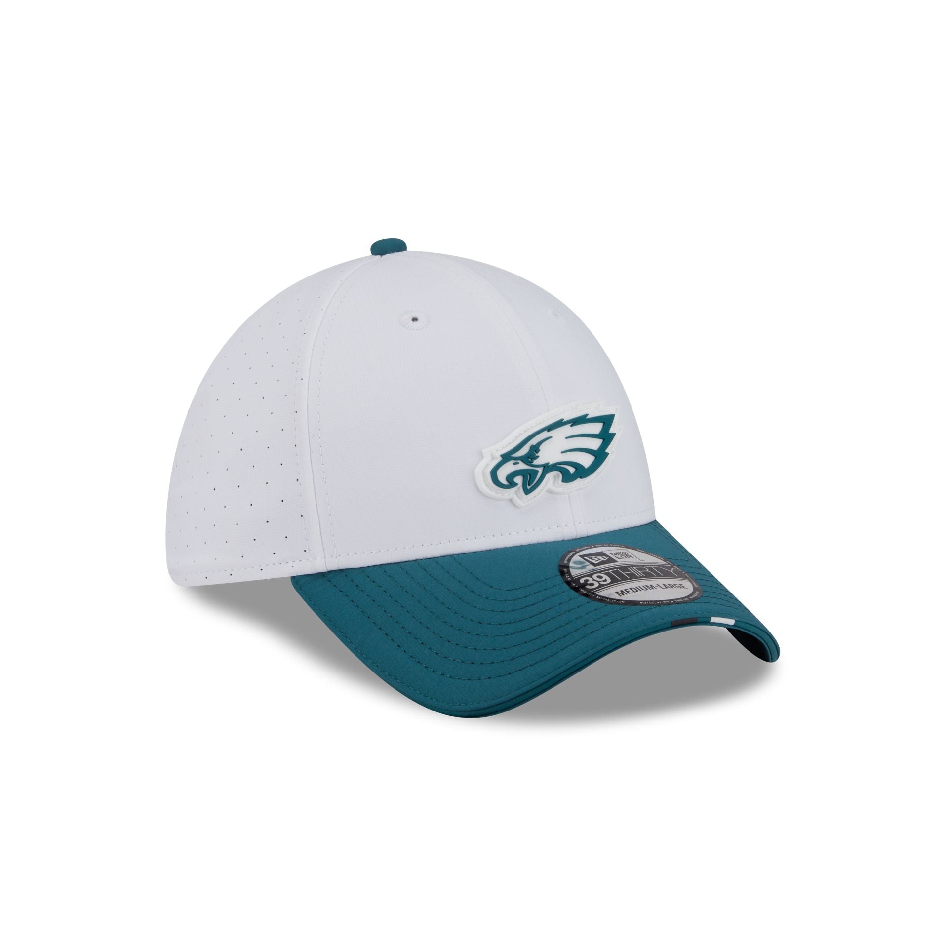 Philadelphia Eagles 2025 Training 39THIRTY Stretch Fit Hat、mySite、vikingsvslions