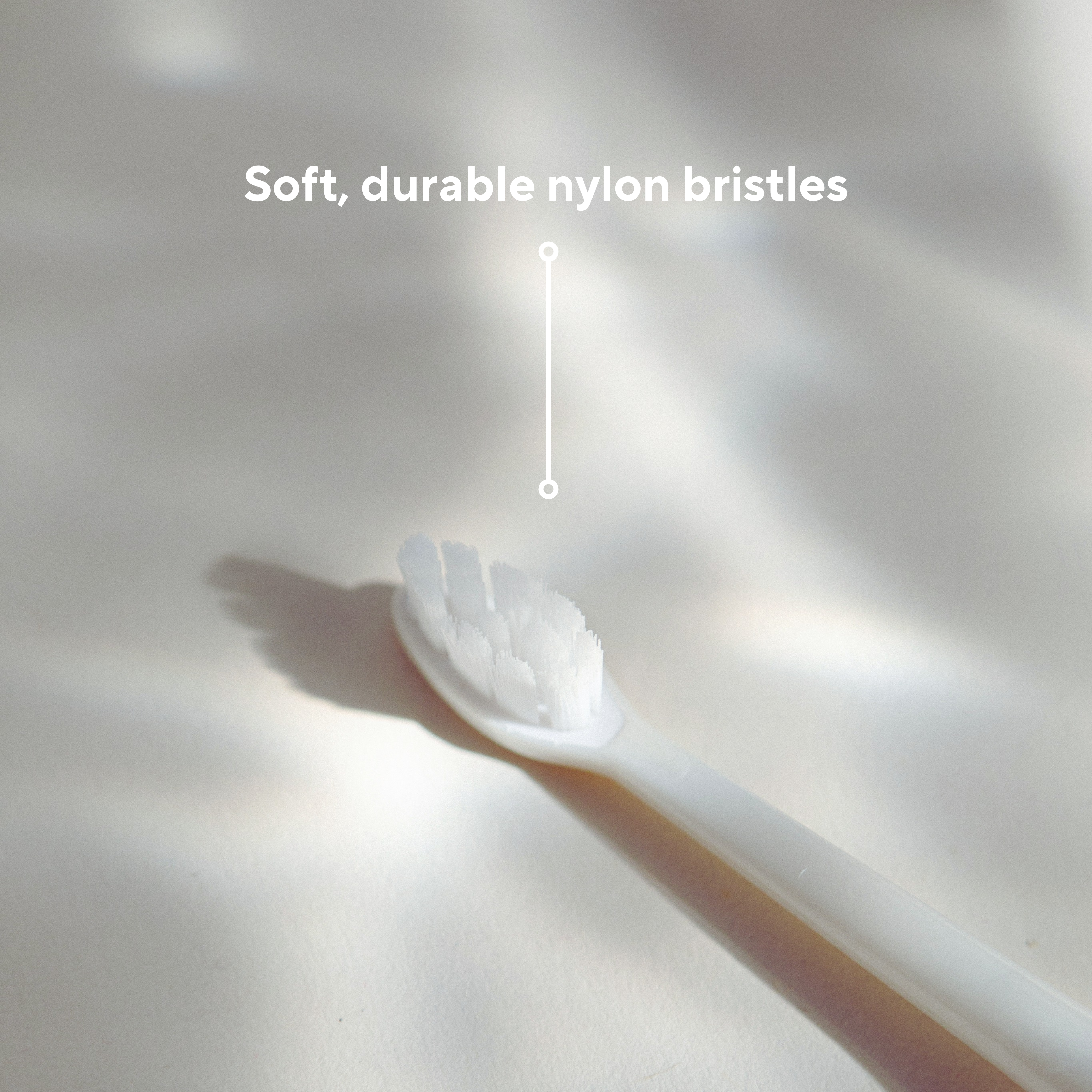 Electric Toothbrush Replacement Heads、mySite、gigharbornorthrealestate