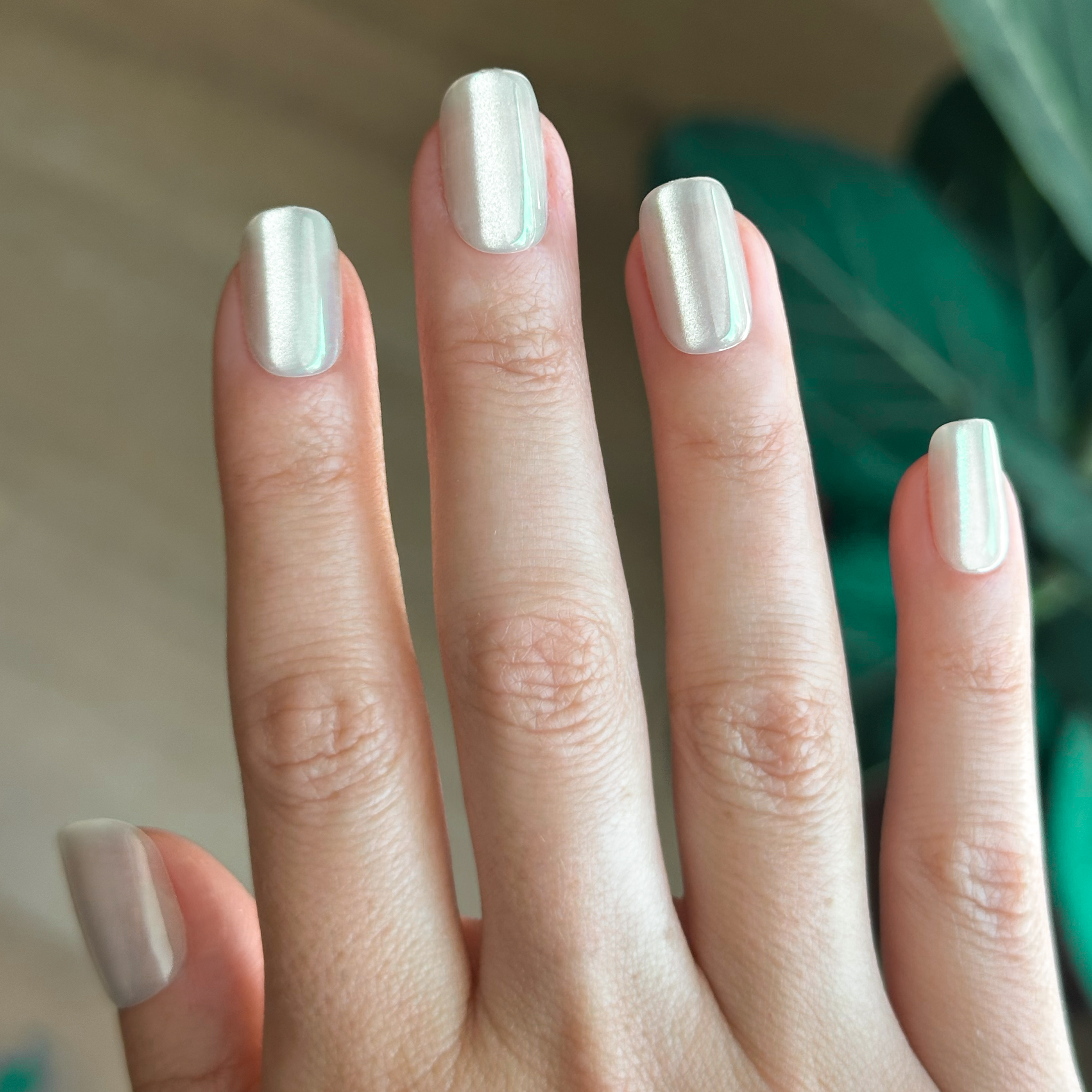 Cream Velvet - Press-On | Short | Squoval、mySite、solidvoid