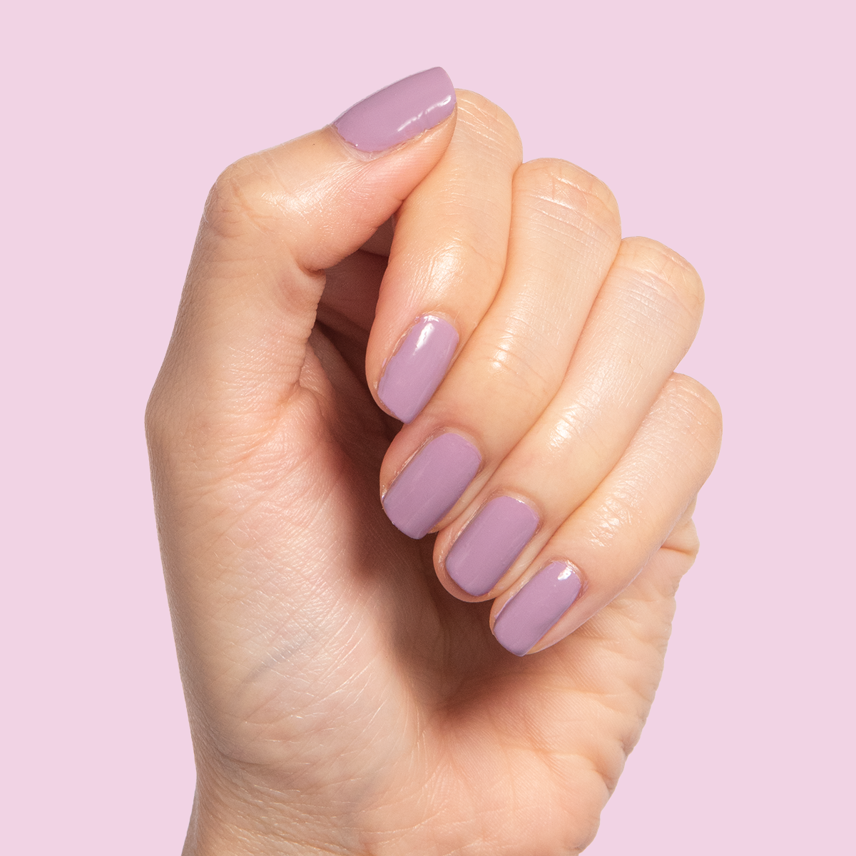 Prairie、mySite、solidvoid