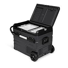 Portable fridge with wheels