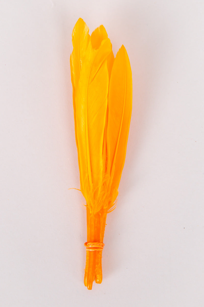 Mini Goose Feathers Bundle of 6- Orange Rubber Band - FINAL SALE、mySite、hinf8tx79