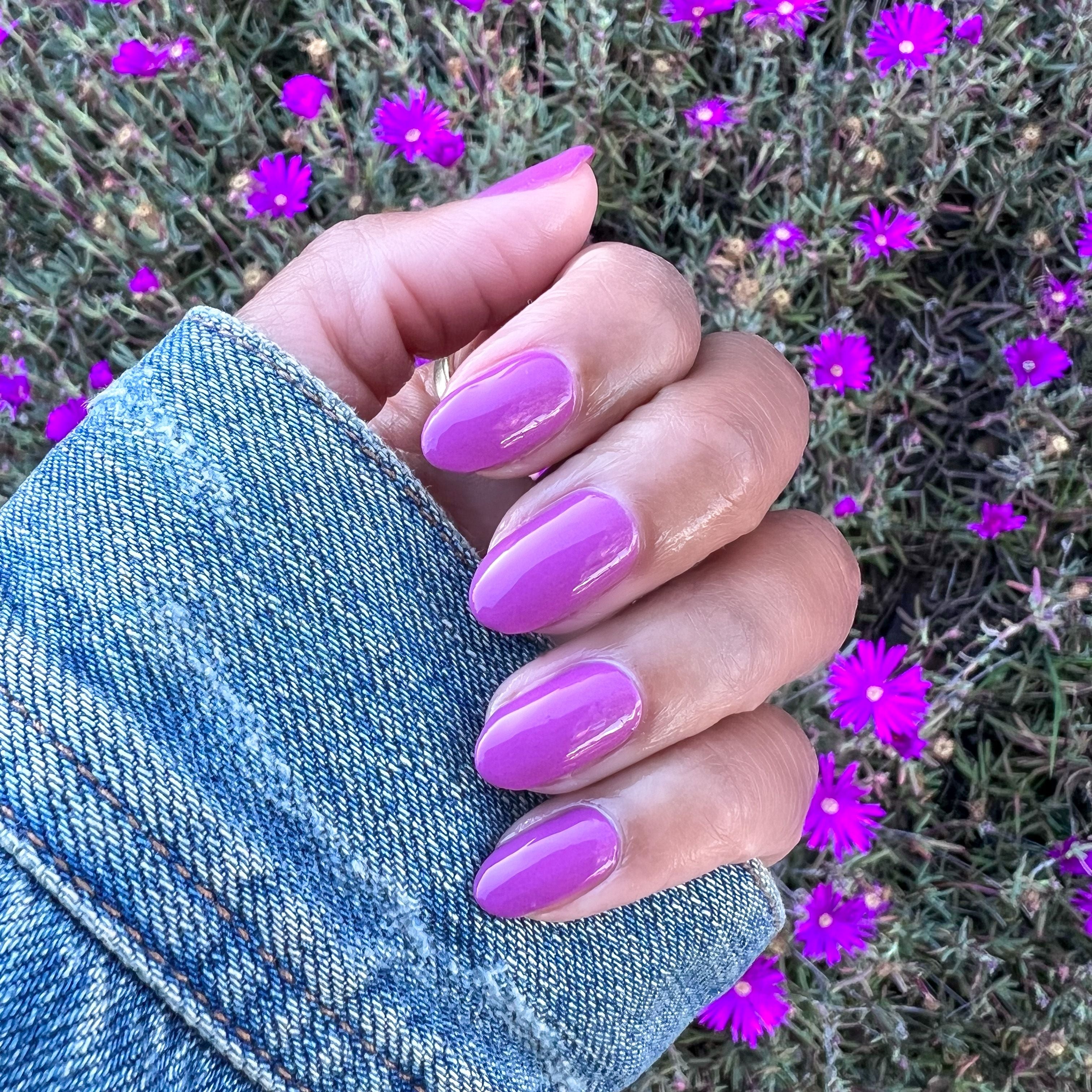 TLG、mySite、solidvoid