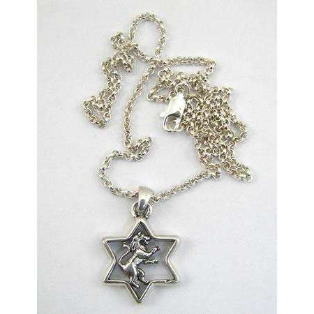 Michael Bromberg Sterling Silver Lion of Judah in Star of David Necklace、mySite、topwebapps