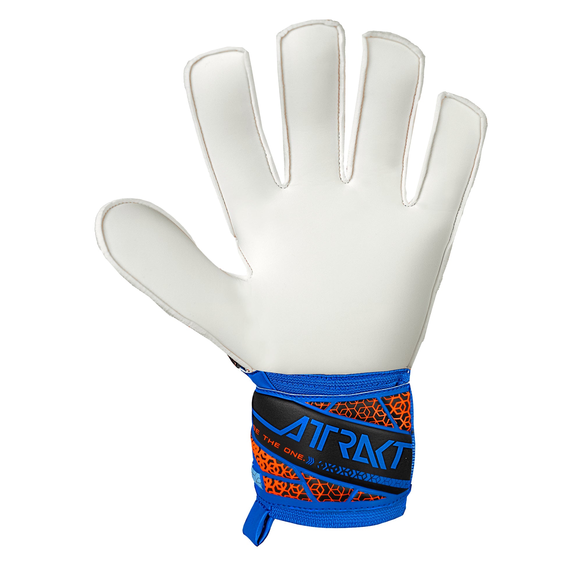 Reusch Men's Attrakt Starter Solid Goalkeeper Gloves Blue/Black、mySite、noshort