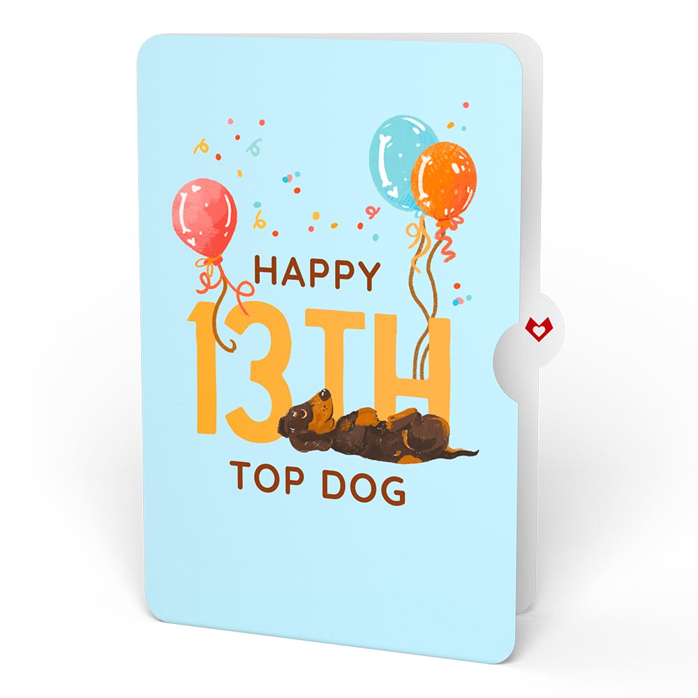 Happy 13th Birthday Dogs Pop-Up Card and Sentiment Set、mySite、solidvoid