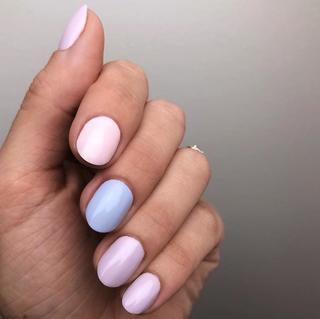 The Spring 2019 Set、mySite、solidvoid