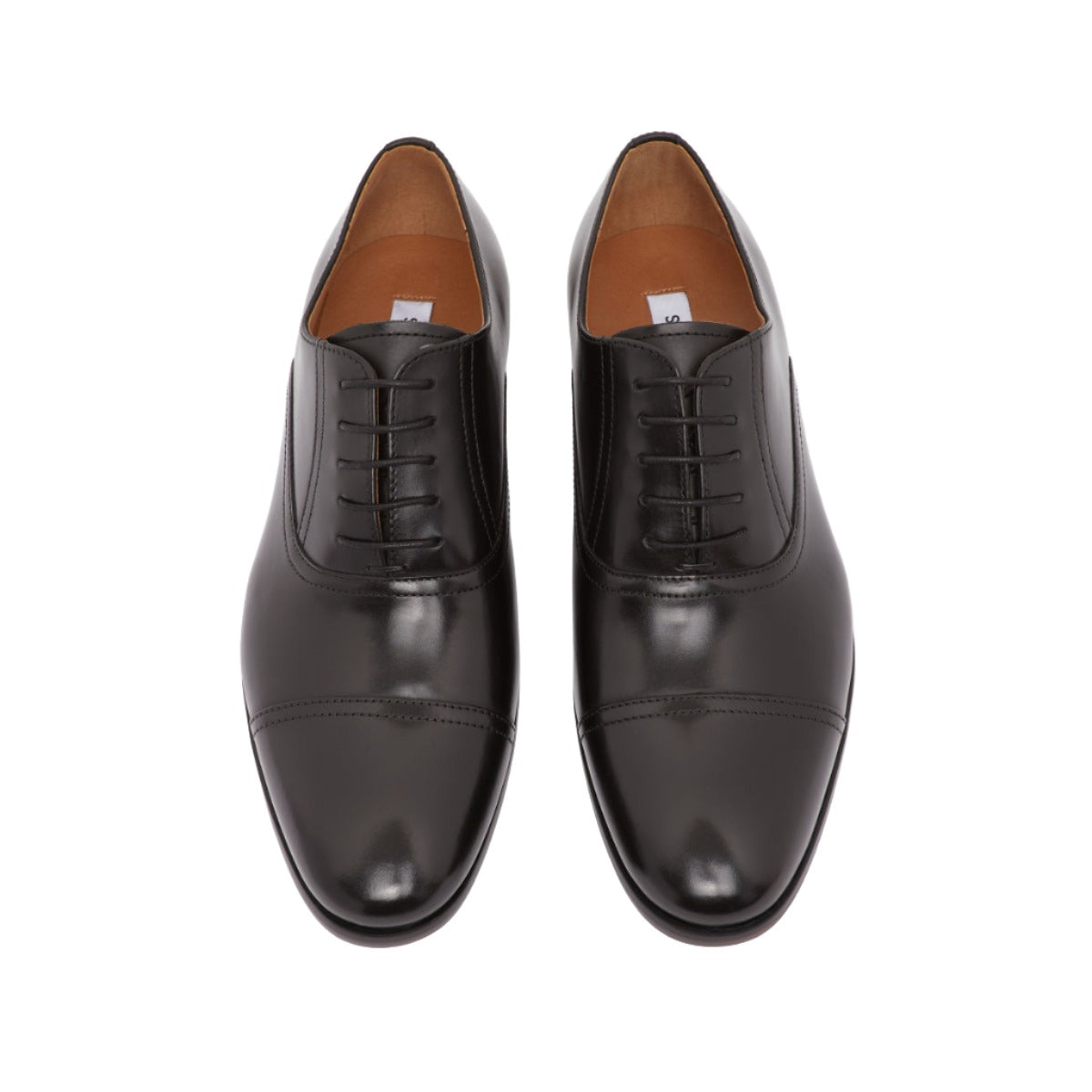 HERBERT BLACK、mySite、dreamappss