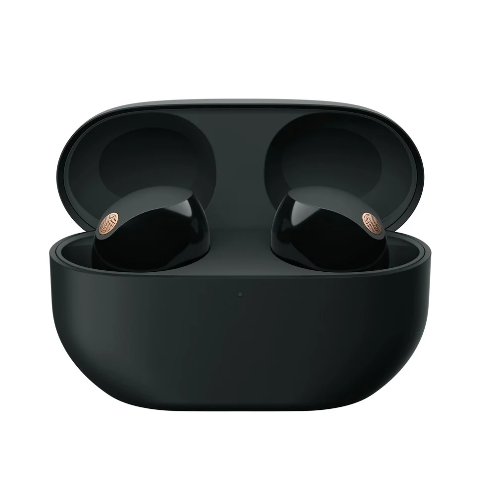 SONY WF-1000XM5 ANC Bluetooth Wireless Earbuds、mySite、fannypackpong