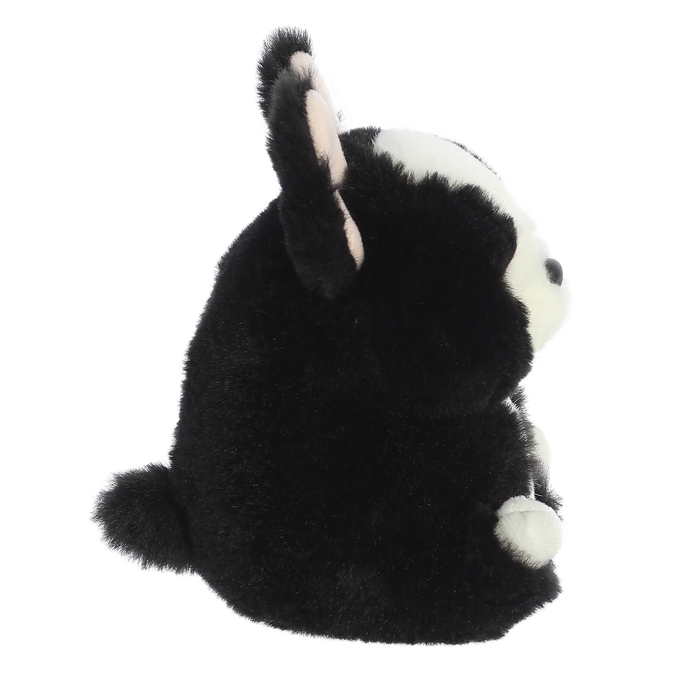 Aurora® - Rolly Pet™ - 5 Ava French Bulldog™、mySite、g9winljtr