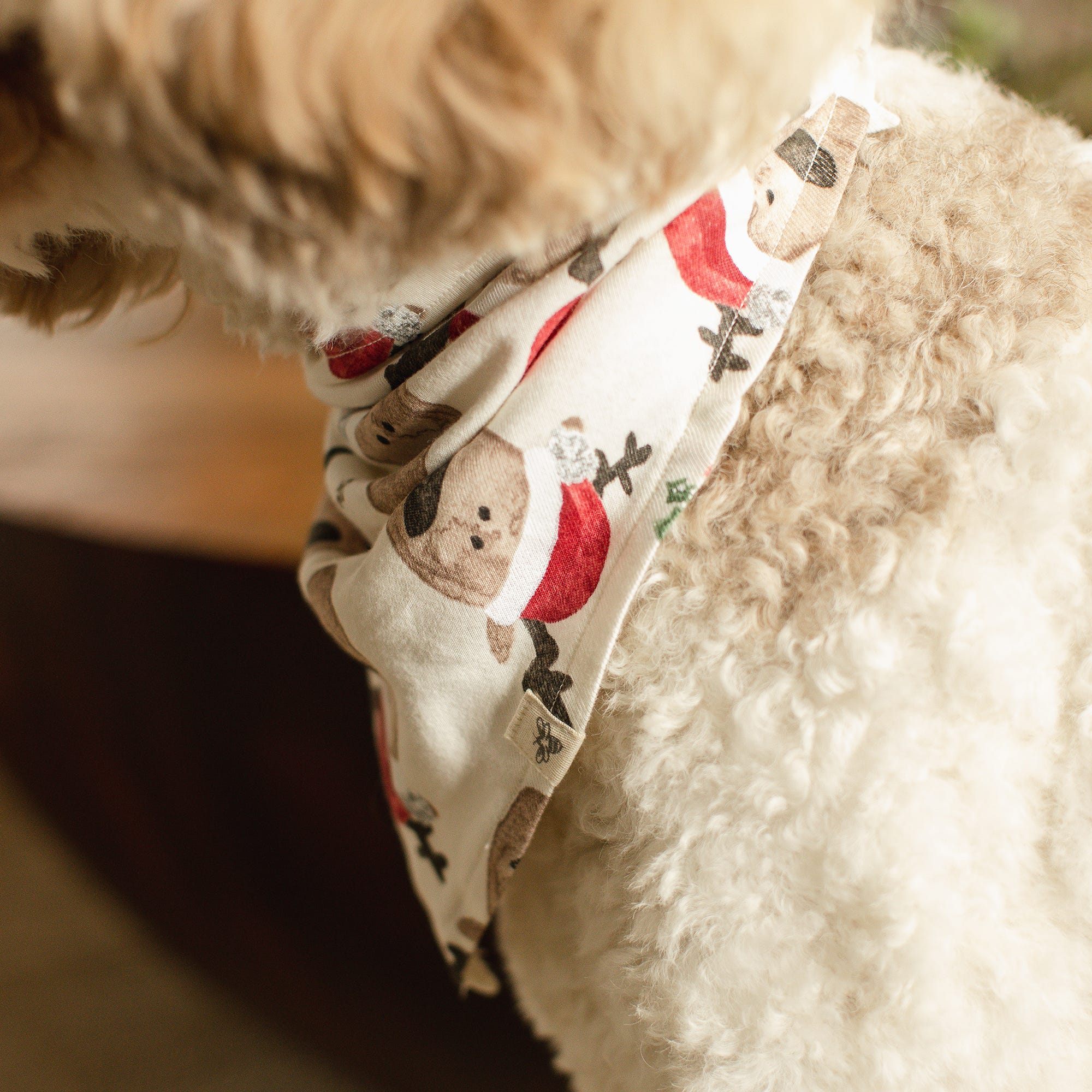 Guide My Sleigh Matching Organic Cotton Women's Pajamas、mySite、g9winljtr