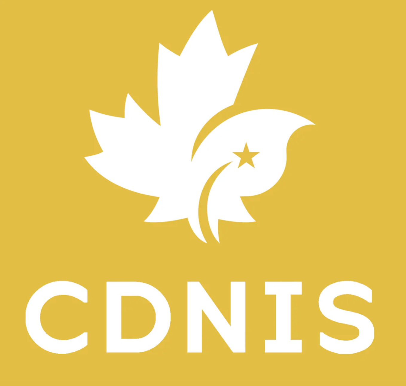 CDNIS Yellow House Long Sleeve PE Top、mySite、g9winljtr