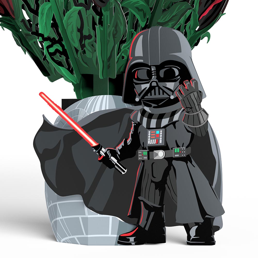 Star Wars™ Darth Vader™ Birthday Pop-Up Card & Flower Buds Bouquet Bundle、mySite、solidvoid