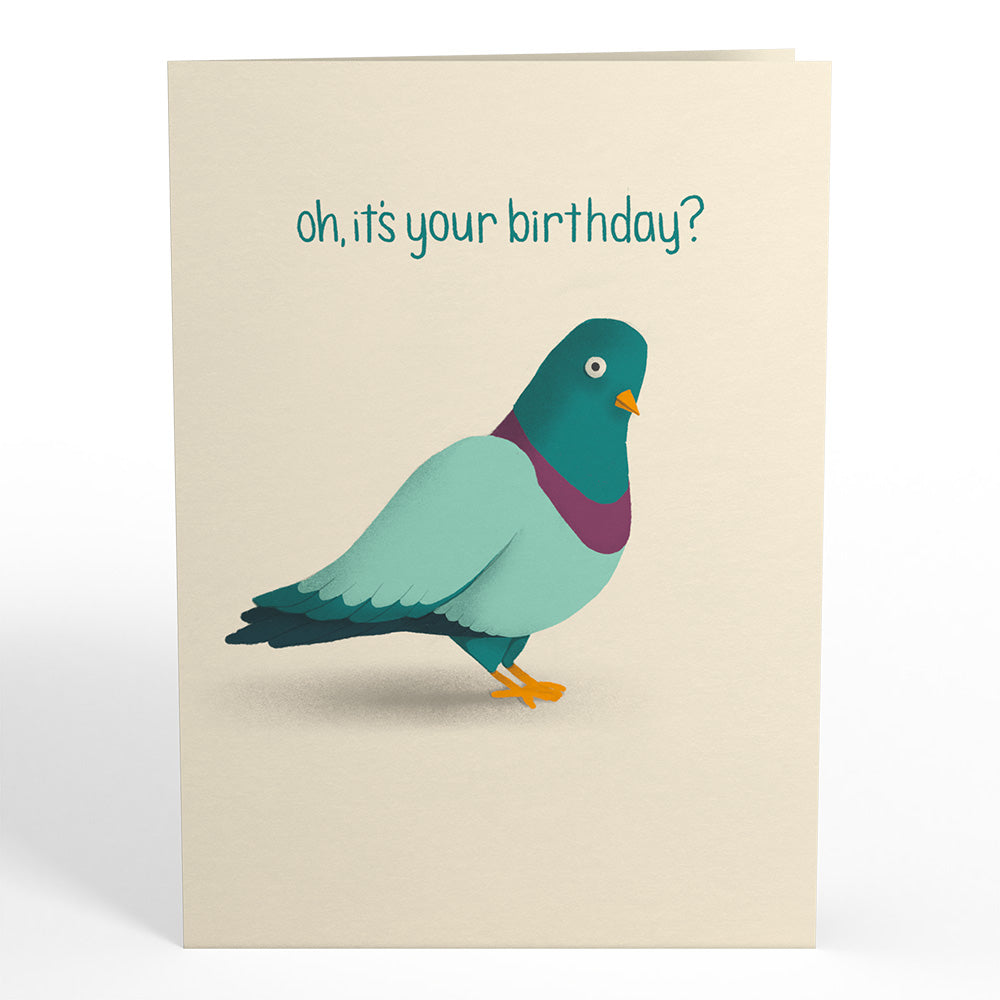 ‘That’s Coo’ Funny Pigeon Birthday Pop-Up Card、mySite、solidvoid
