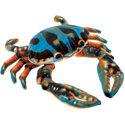 6 Blue Crab、mySite、g9winljtr