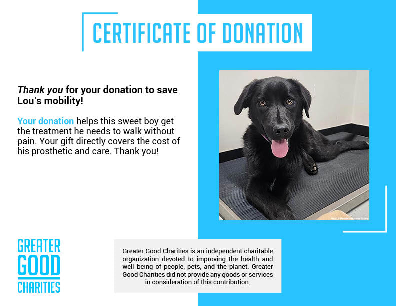 Funded - Help Lou Walk Again、mySite、camillekostekn