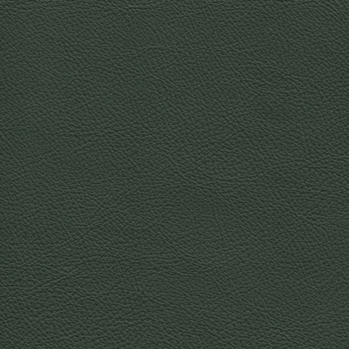 Moss、mySite、neckold