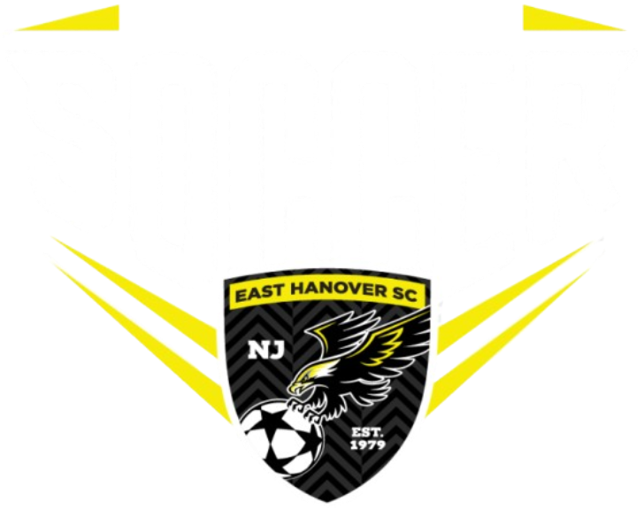 EHSC Spirit Logo Full - EHSC6、mySite、noshort