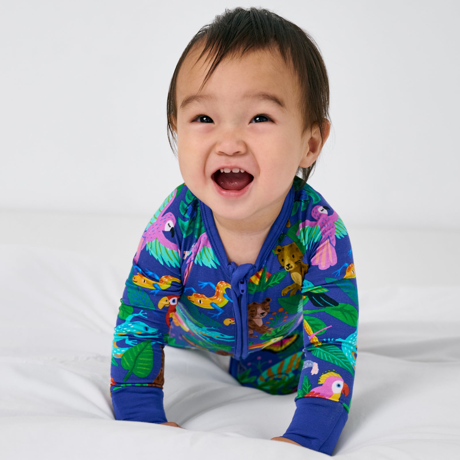 Jungle Jam Zippy、mySite、g9winljtr