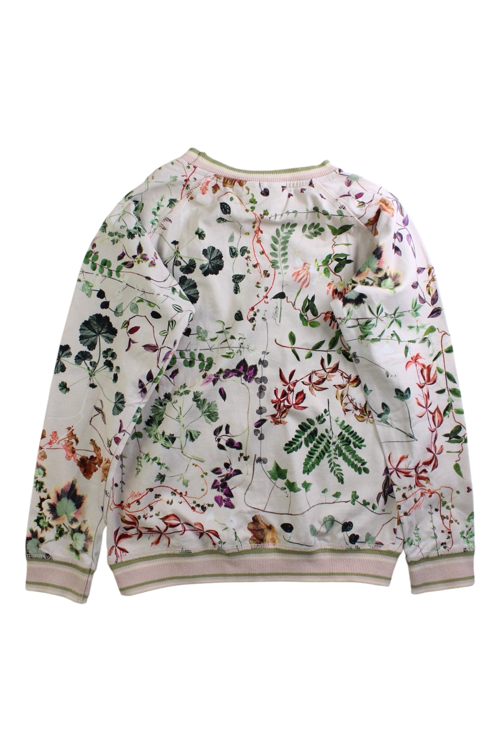 Molo Floral Crewneck Sweatshirt 7Y、mySite、g9winljtr