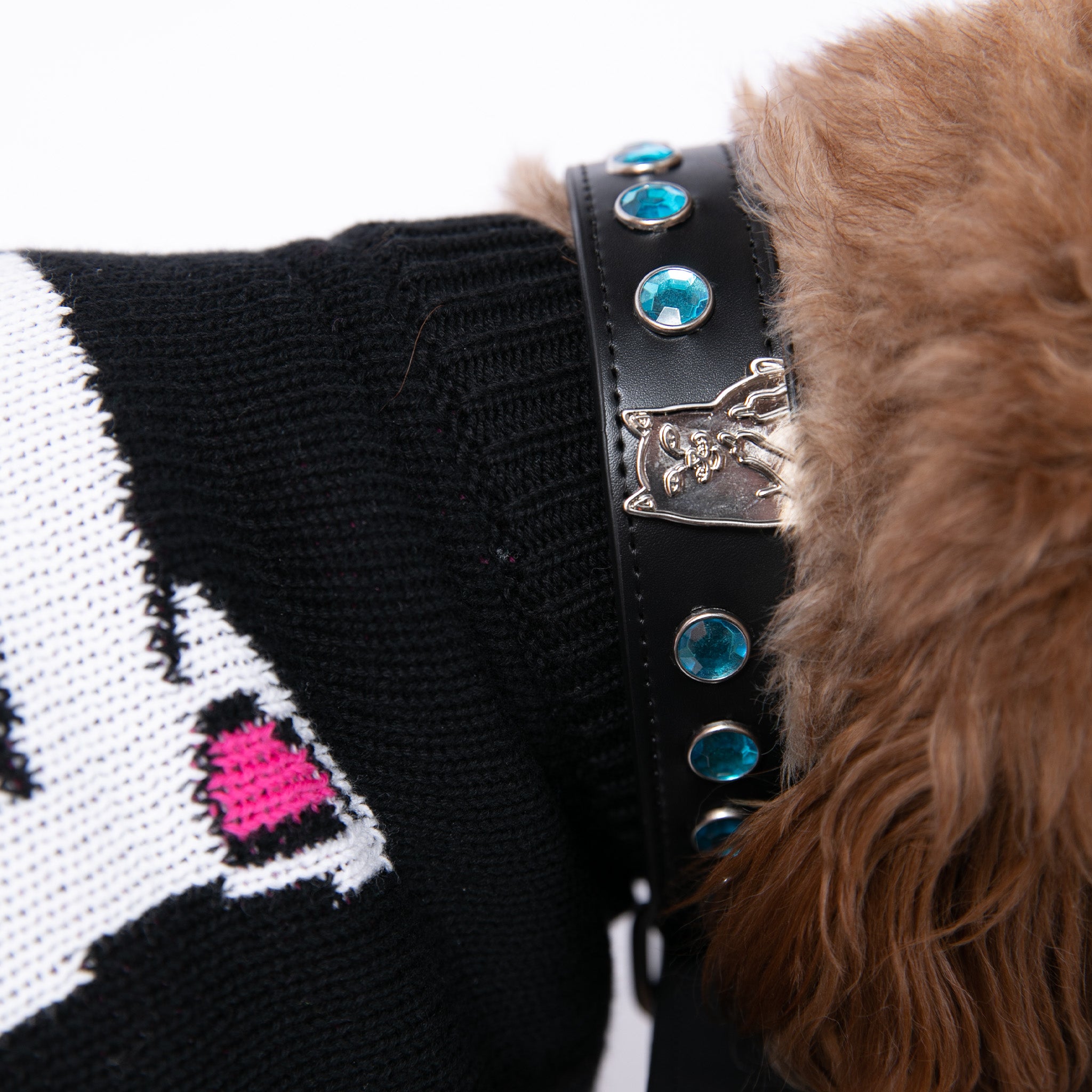  Lord Nermal Studded Pet Collar (Black)、mySite、merchandisen