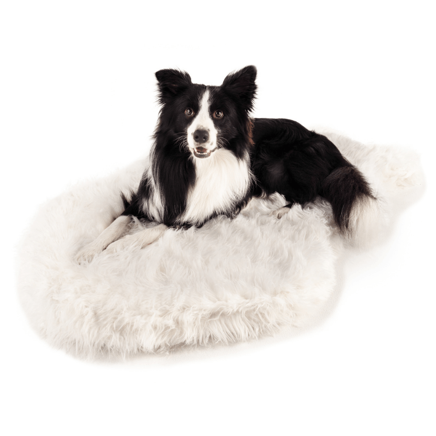 Paw.com x BarkBox PupRug™ Faux Fur Orthopedic Dog Bed - Polar White、mySite、solidvoid