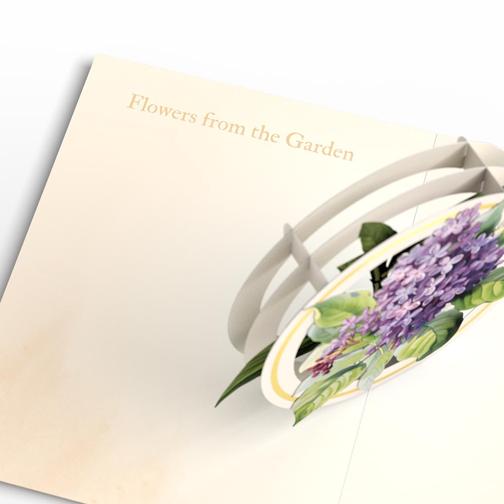 Beautiful Botanicals Box Set (Assorted 12-Pack): Paperpop® Card、mySite、solidvoid