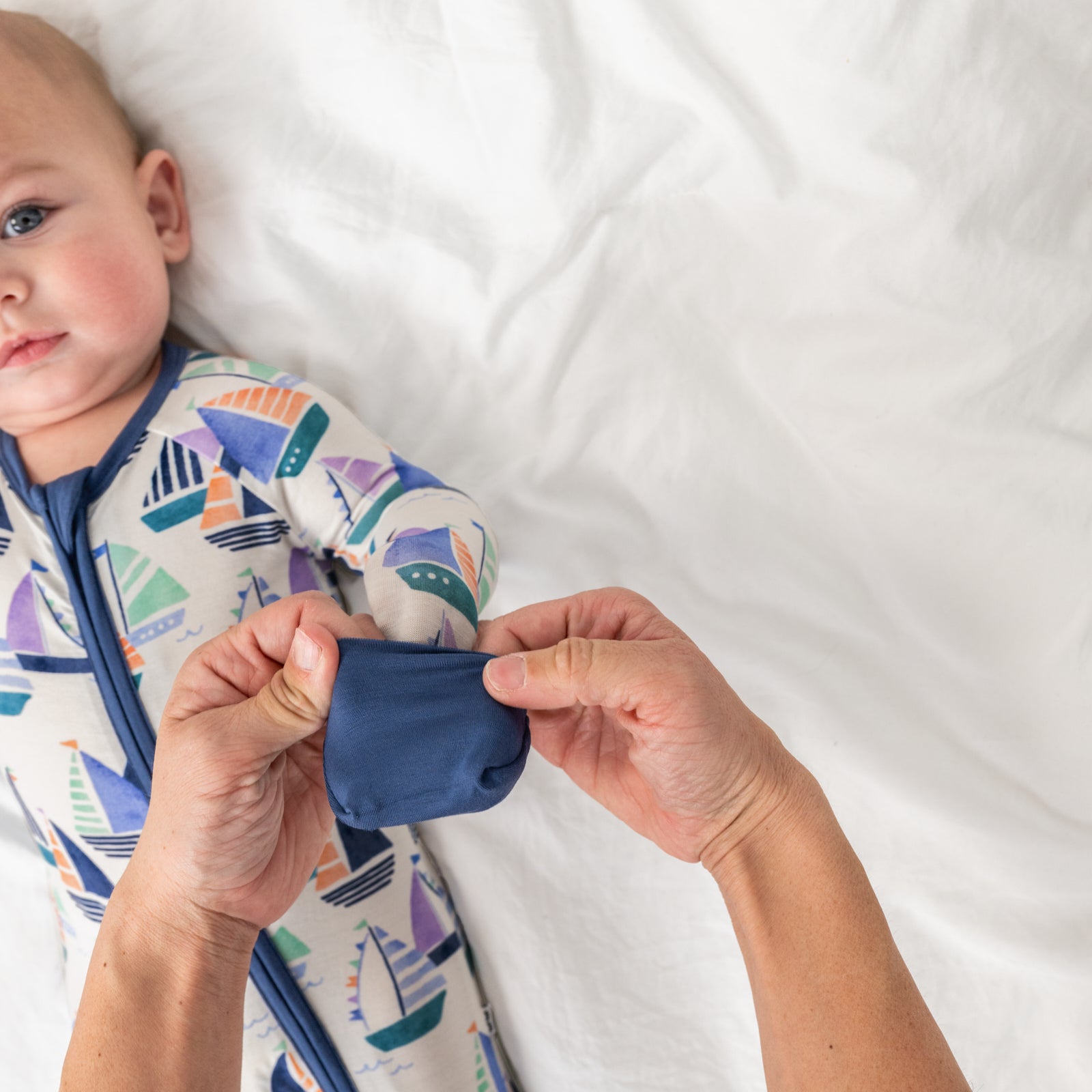 Seas The Day Zippy、mySite、g9winljtr