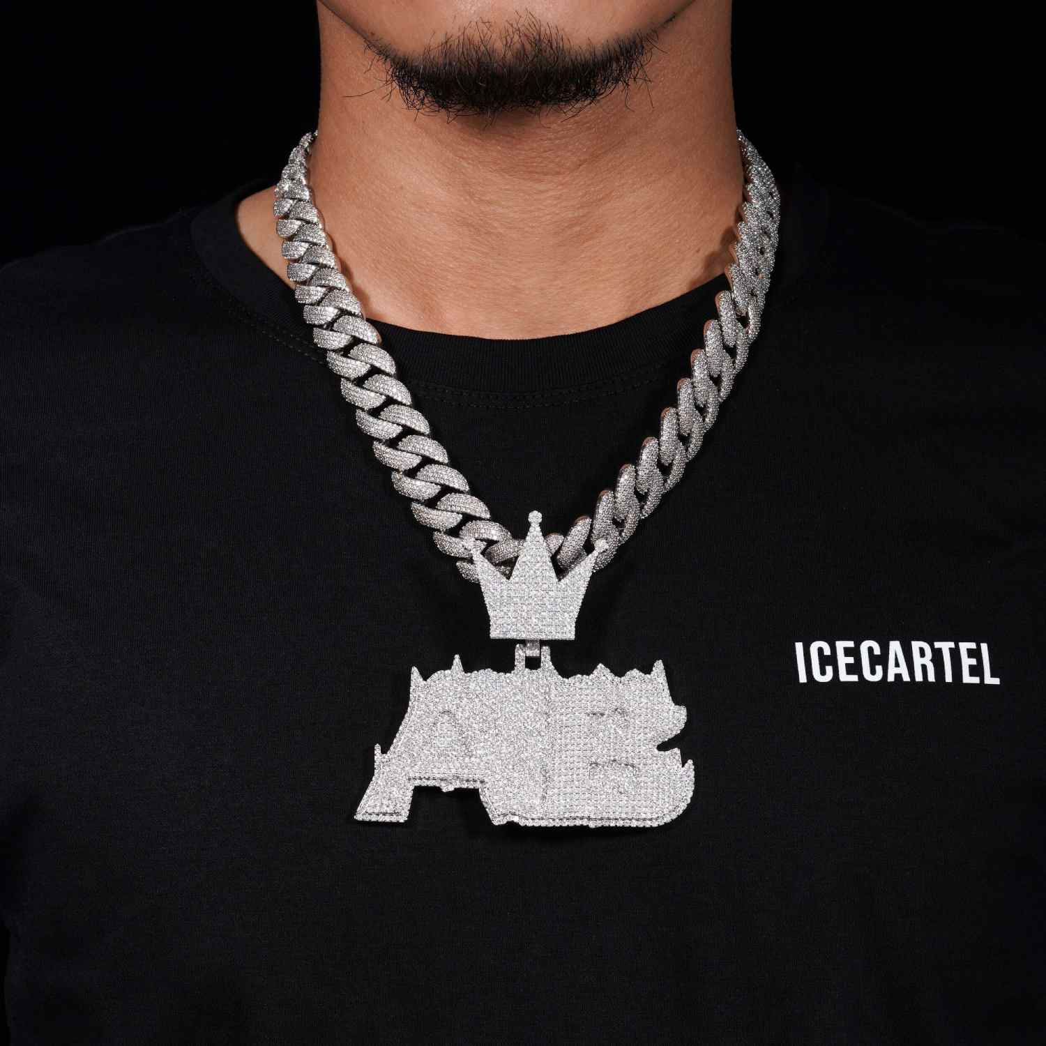 AB Custom Moissanite Pendant 14K Gold、mySite、hinf8tx79