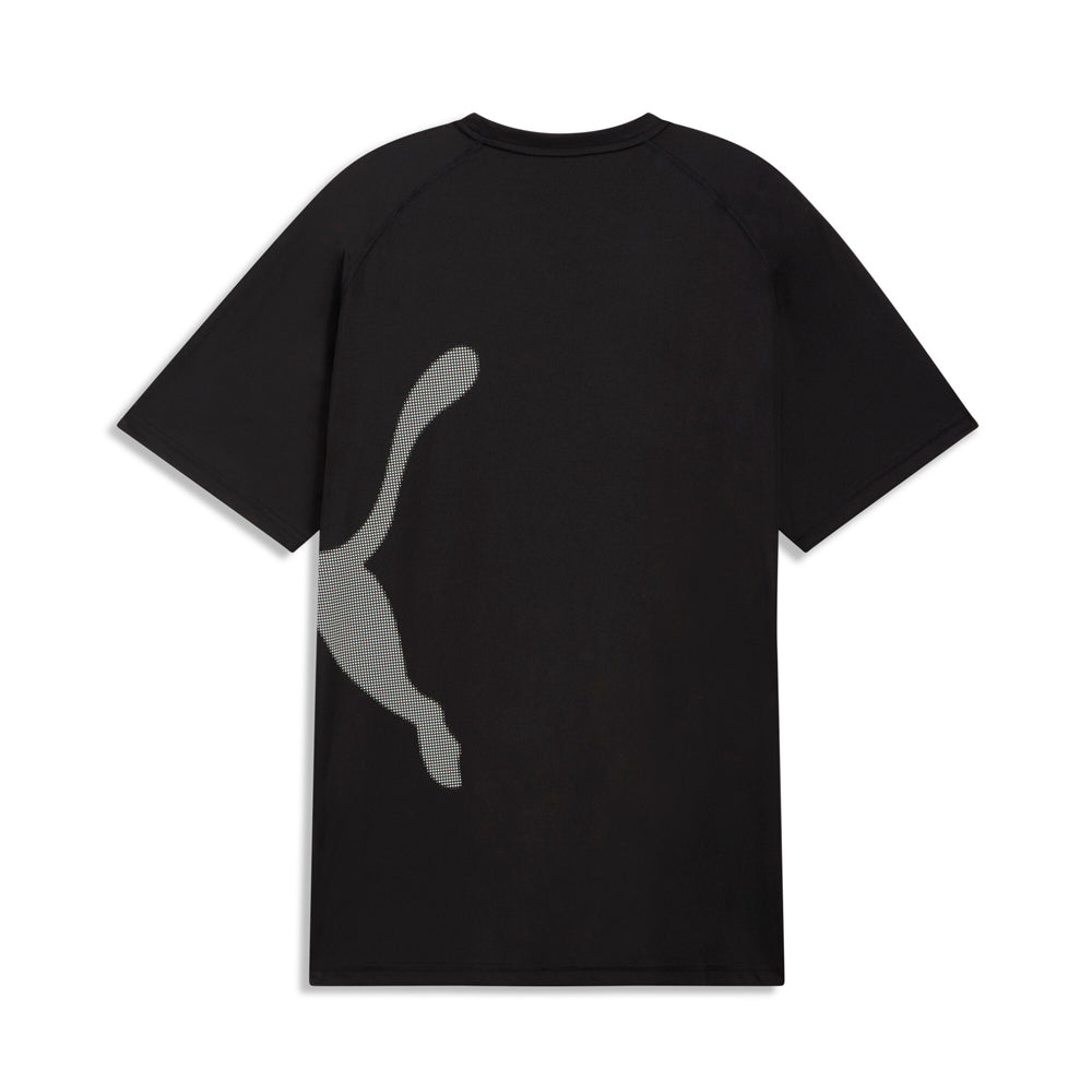 Train All Day Big Cat Crew Neck Short Sleeve Athletic T-Shirt、mySite、gtrtttuynbv