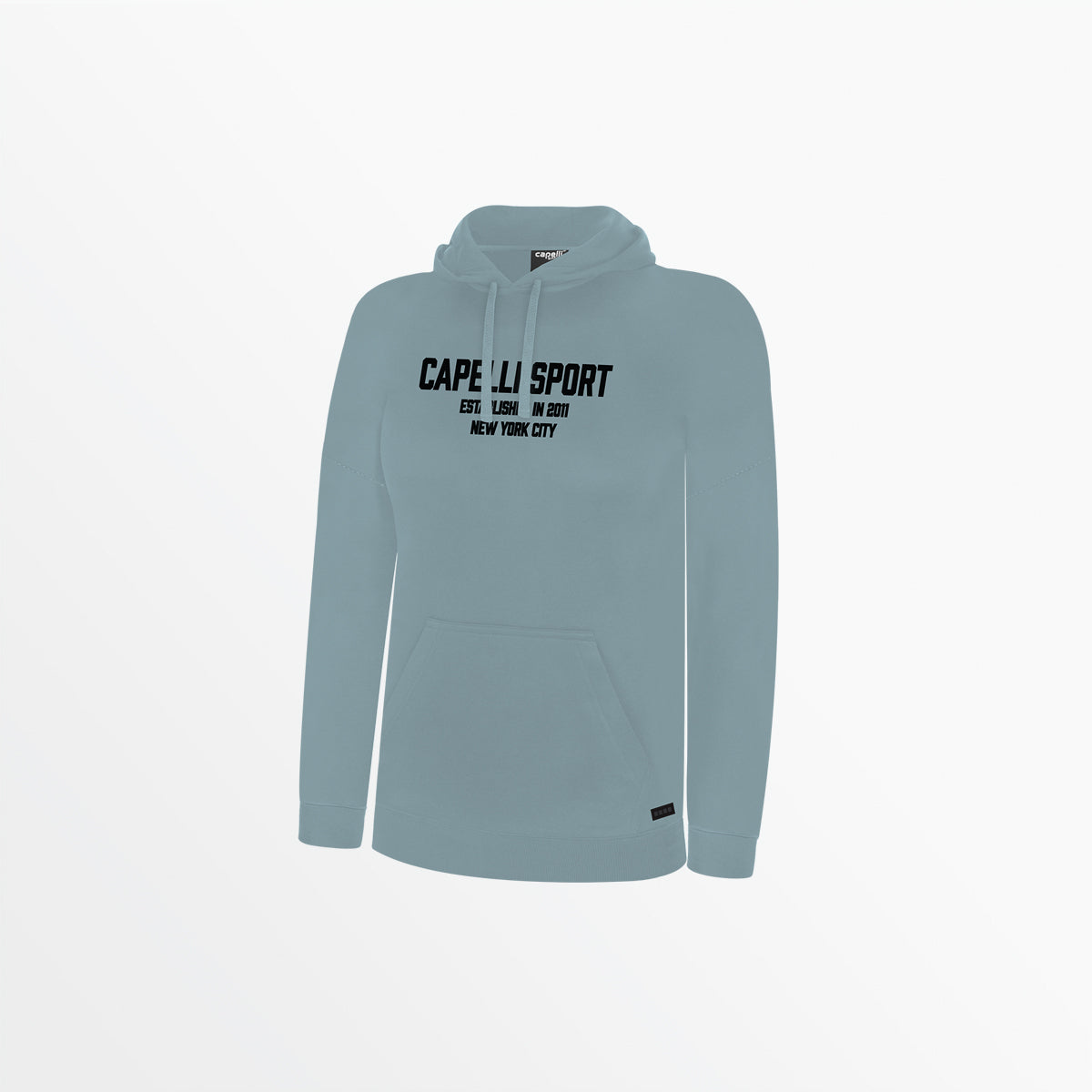 WOMEN'S CS ESTABLISHED PULLOVER HOODIE