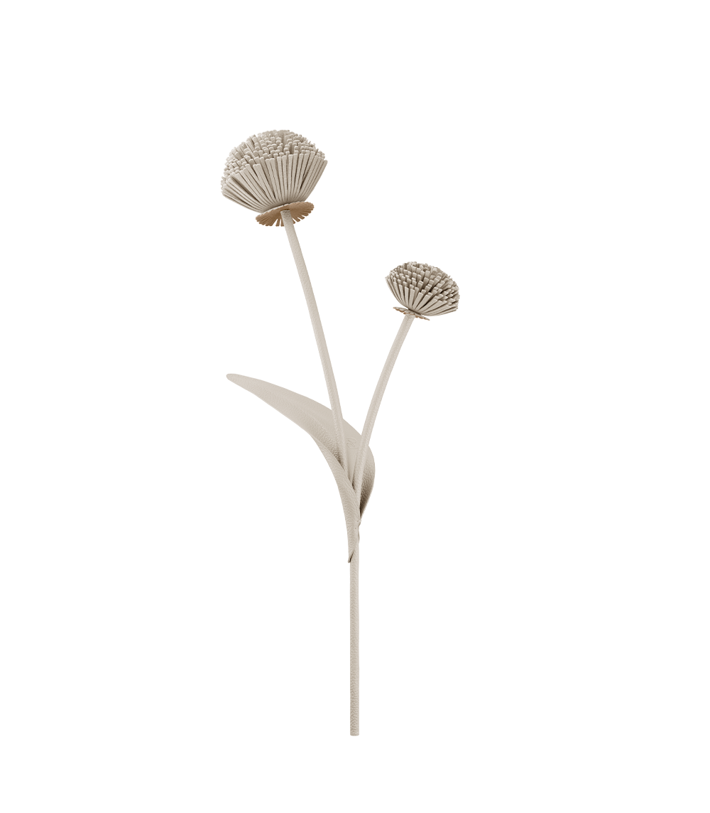 Fleur Tul - Duo Craie Grain茅、mySite、camillekostekn