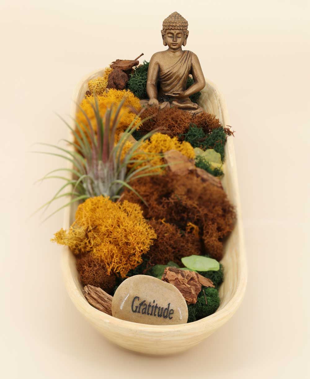 Buddha Gratitude Terrarium – Peaceful Serenity in Nature、mySite、topwebapps