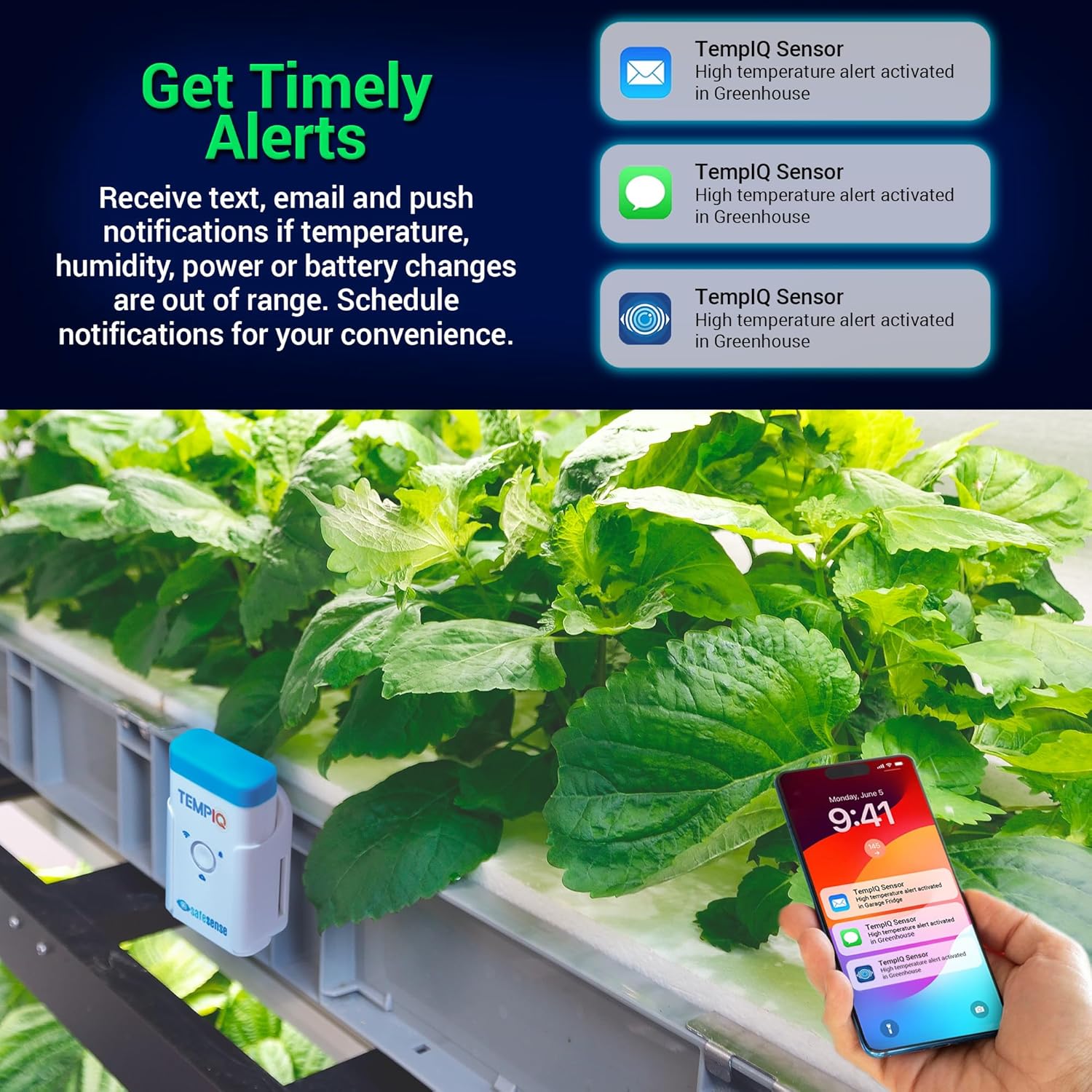 SafeSense TempIQ Temperature & Humidity Sensor、mySite、noshort