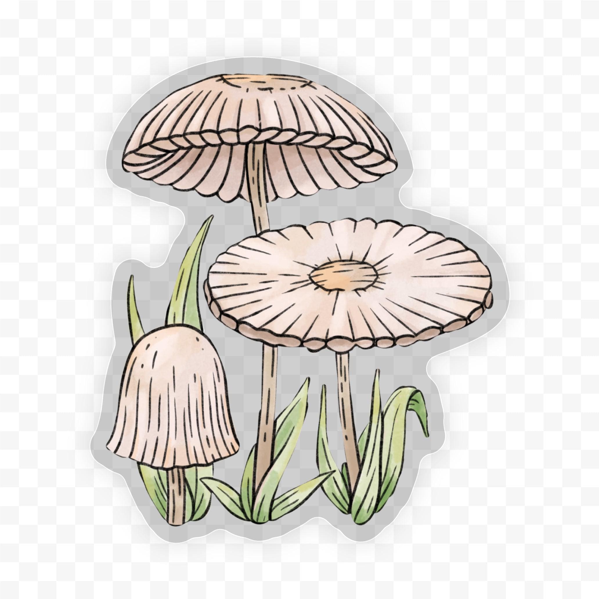  Agaricus Plicatilis - Botanical Clear Sticker、mySite、ghnorth