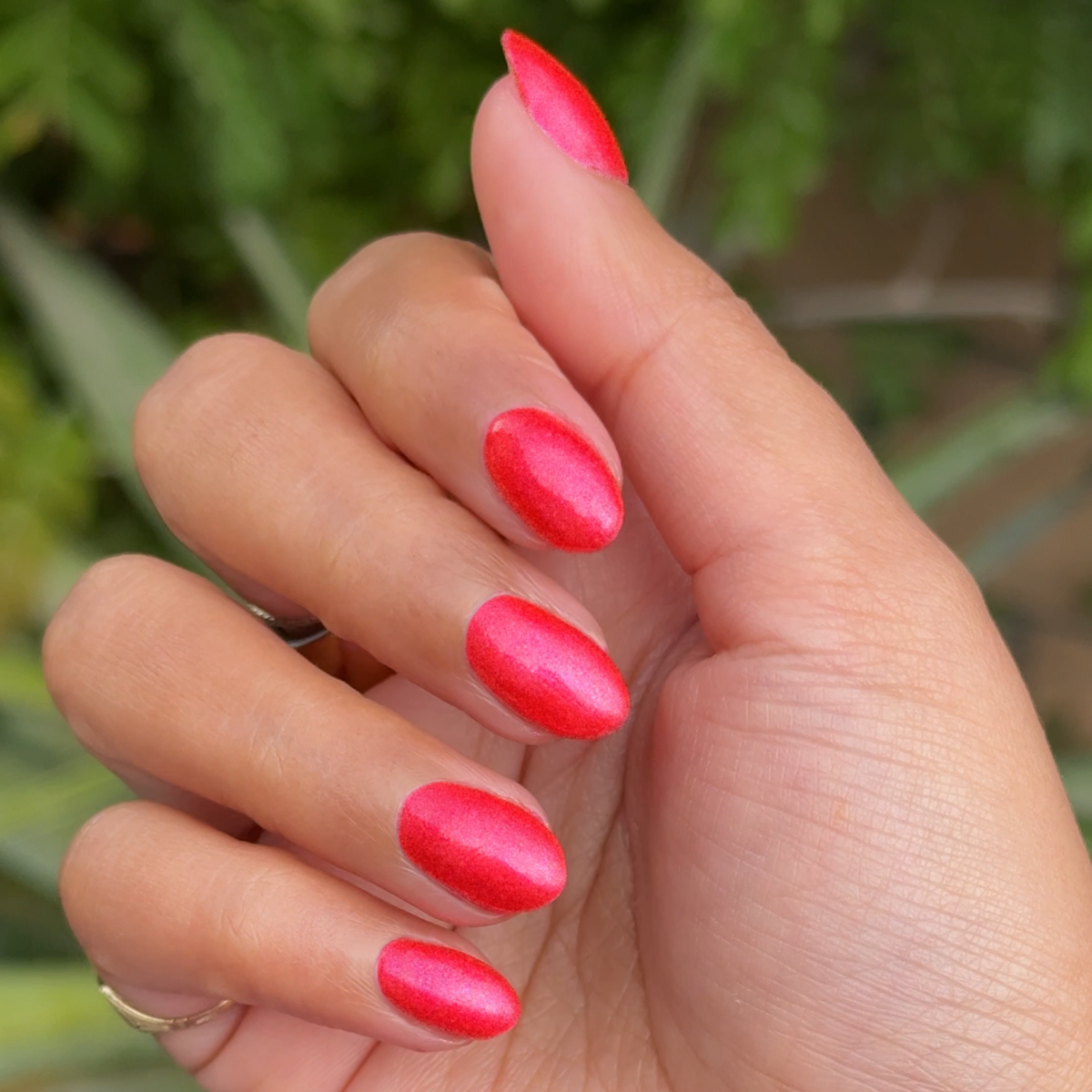 Rodeo Queen、mySite、solidvoid